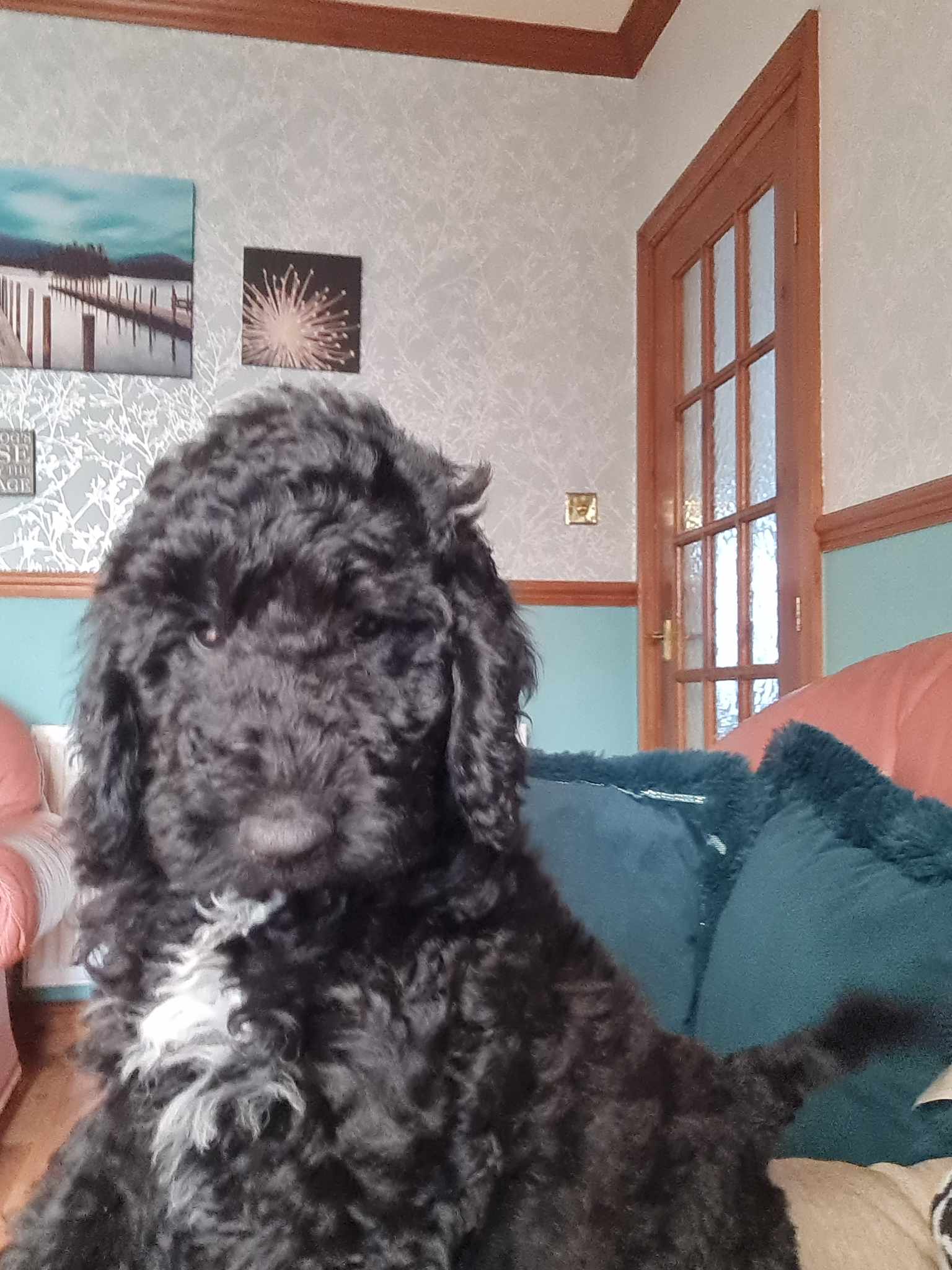 Bertie